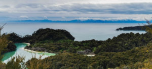 Read more about the article Abel Tasman